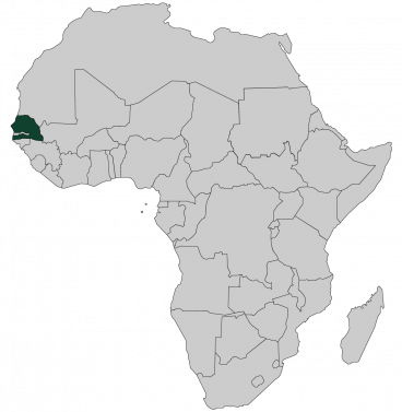 Tenté par une implantation en Afrique, Water Technologie inaugure son bureau au Sénégal